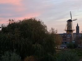 Ook in Schiedam verzamelen parkieten zich in de avondschemering. En dat laten ze weten ook!