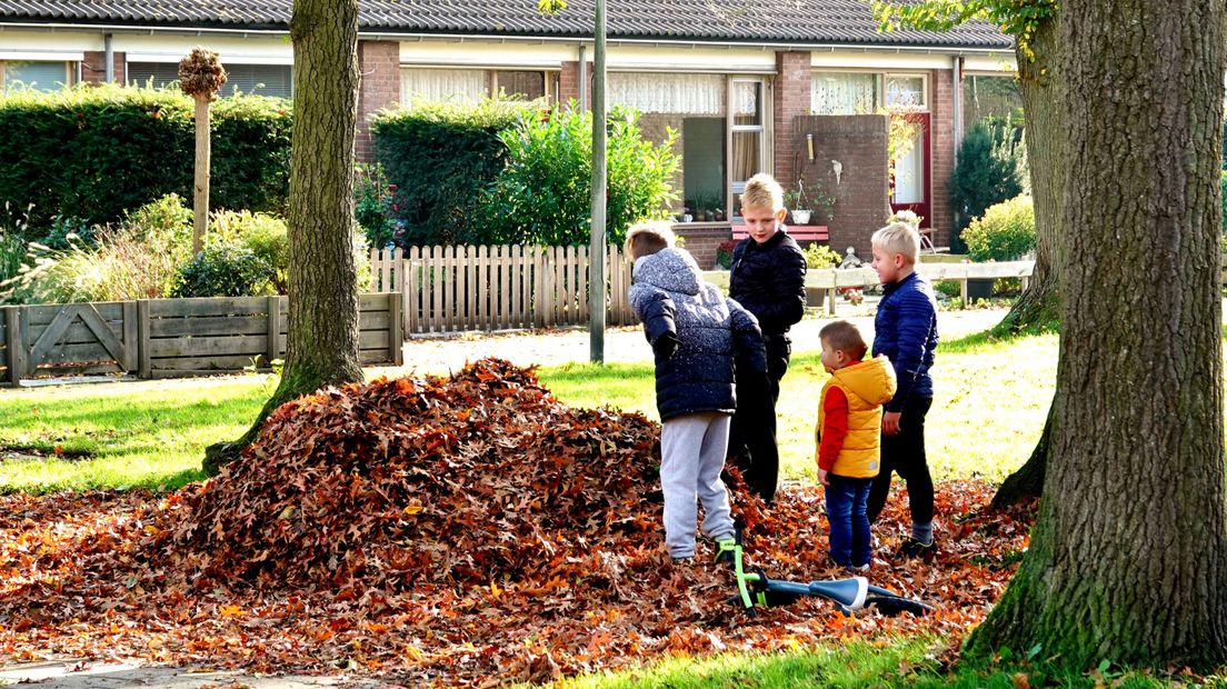 Kinderen vermaken zich met herfstbladeren