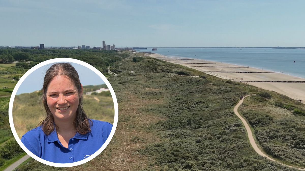 Duinen bij Dishoek te zwak: extra zand aan de landkant