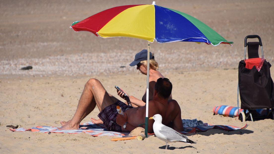 Waarom het niet vreemd is dat een hoveniersbedrijf een 'strandapp' lanceert