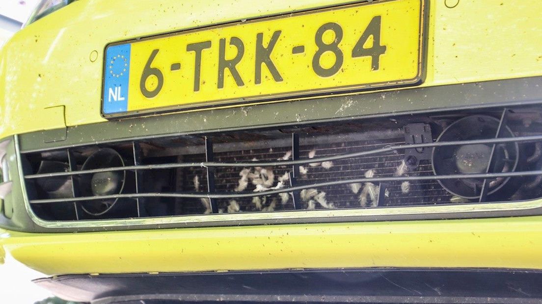 Veertjes op radiator getuige van aanrijding met duif