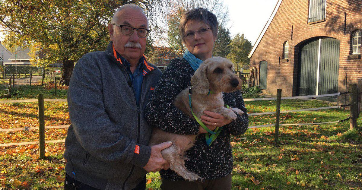 'Een brok in de keel', Sandra en Ron hebben na 11 jaar vermiste hond
