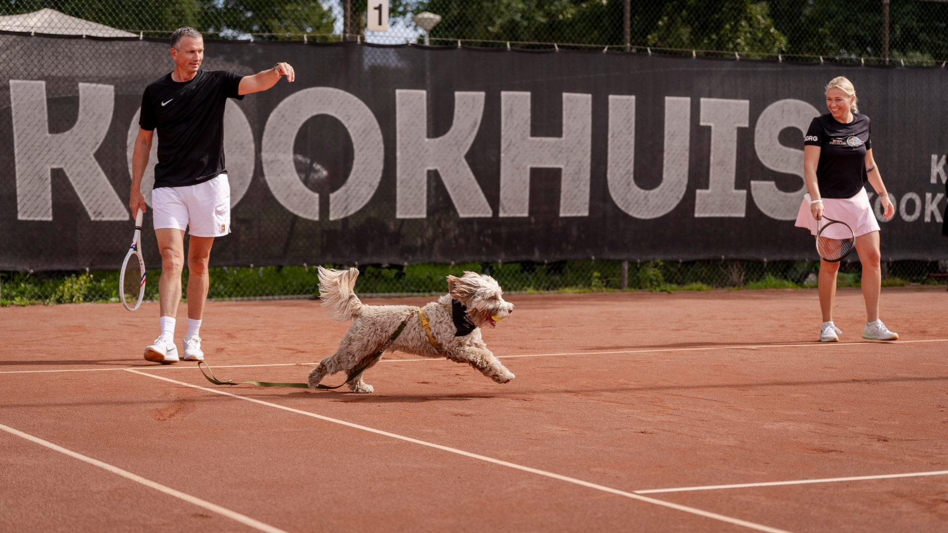 Luna in actie als ballenhond