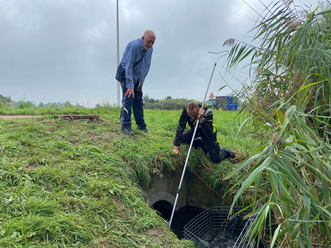 Ger kijkt toe hoe de duiker doorzocht wordt