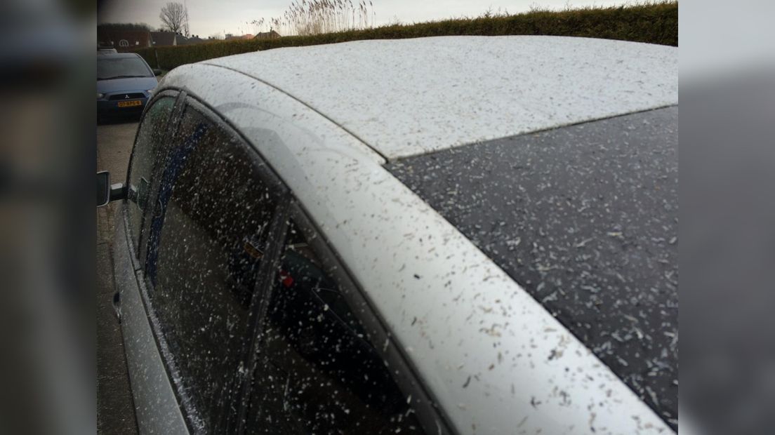 De auto koe krekt op tiid fan de oprit helle wurde