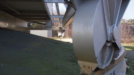 Jessica Dempsey verlaat Drenthe