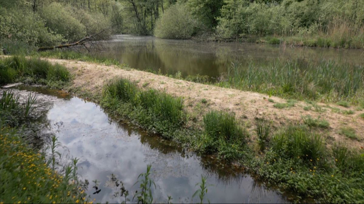 Natuur en Zo neemt een kijkje in natuurgebied Dubbroek en in de Keukenhof van Hout-Blerick
