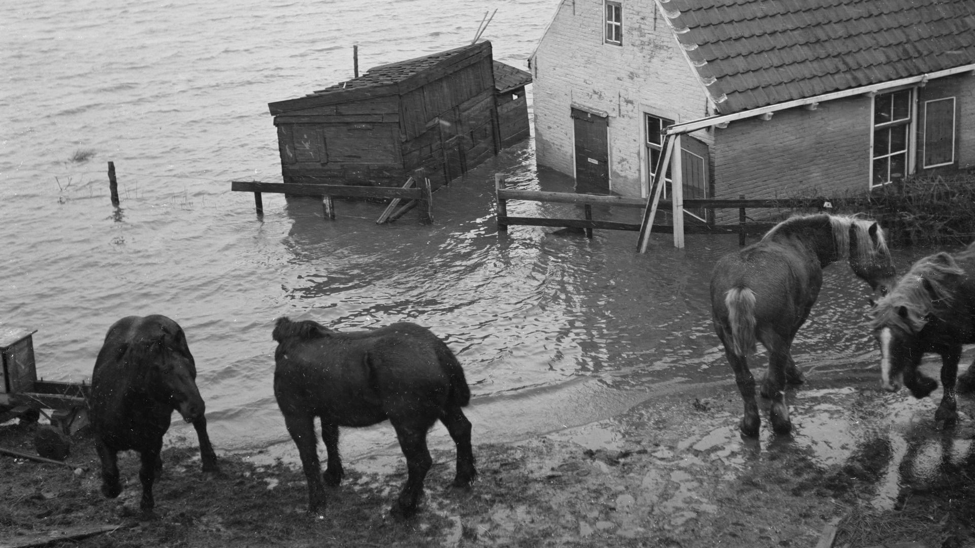 Watersnoodramp staat Amelander commando nog helder voor de geest: "Je