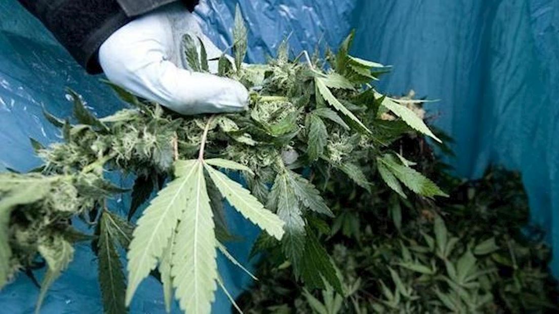 Deventenaar opgepakt voor illegale hennepkweek