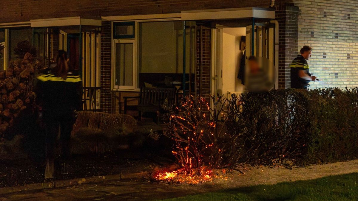 Drachtster gaat met tuinslang brand in een coniferenhaag te lijf