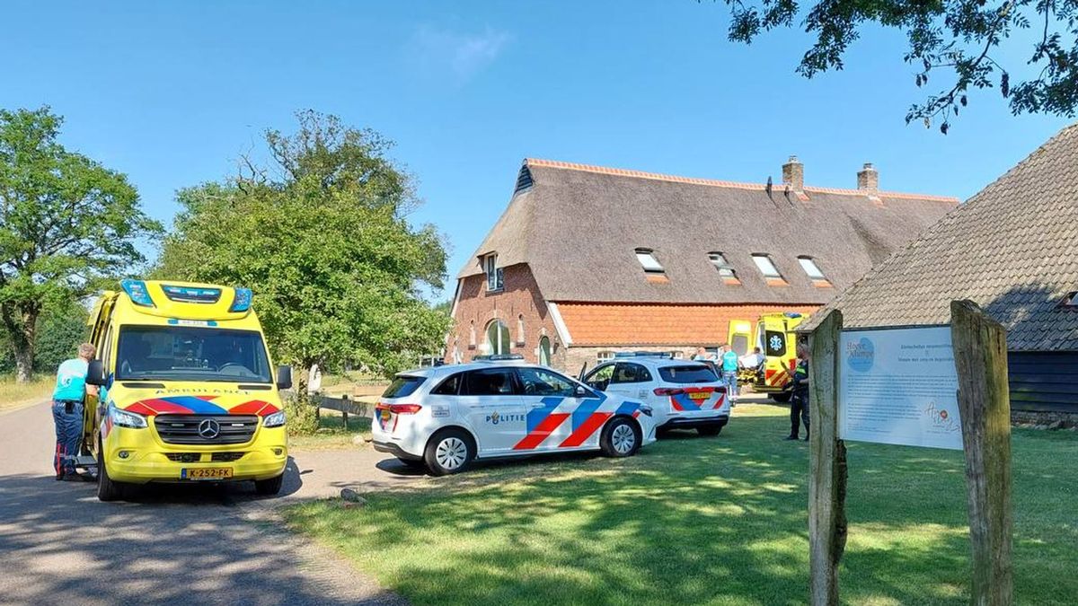 Roy stak medewerkster en cliënt zorgboerderij tientallen keren: tbs met dwangverpleging