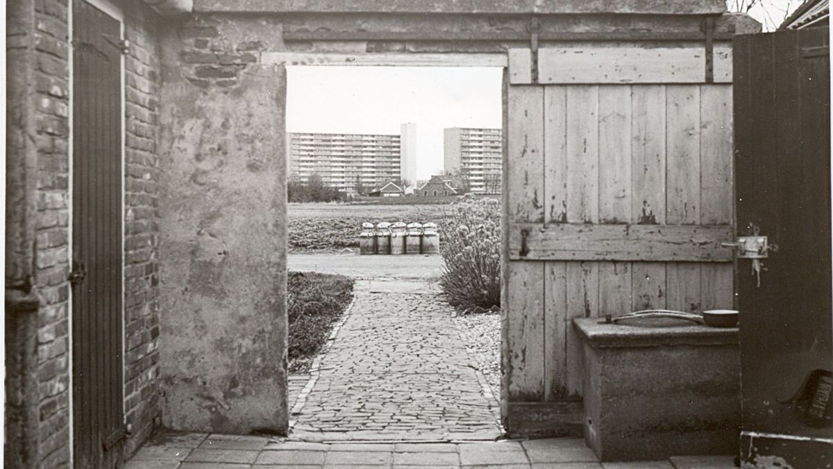 Zo werd Peelo opgeslokt door Assen