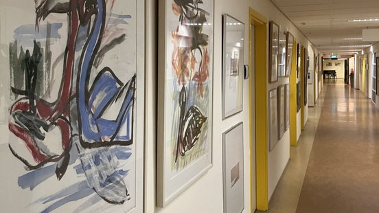 Ruim driehonderd kunstwerken moeten weg, omdat dit ziekenhuis gaat verhuizen