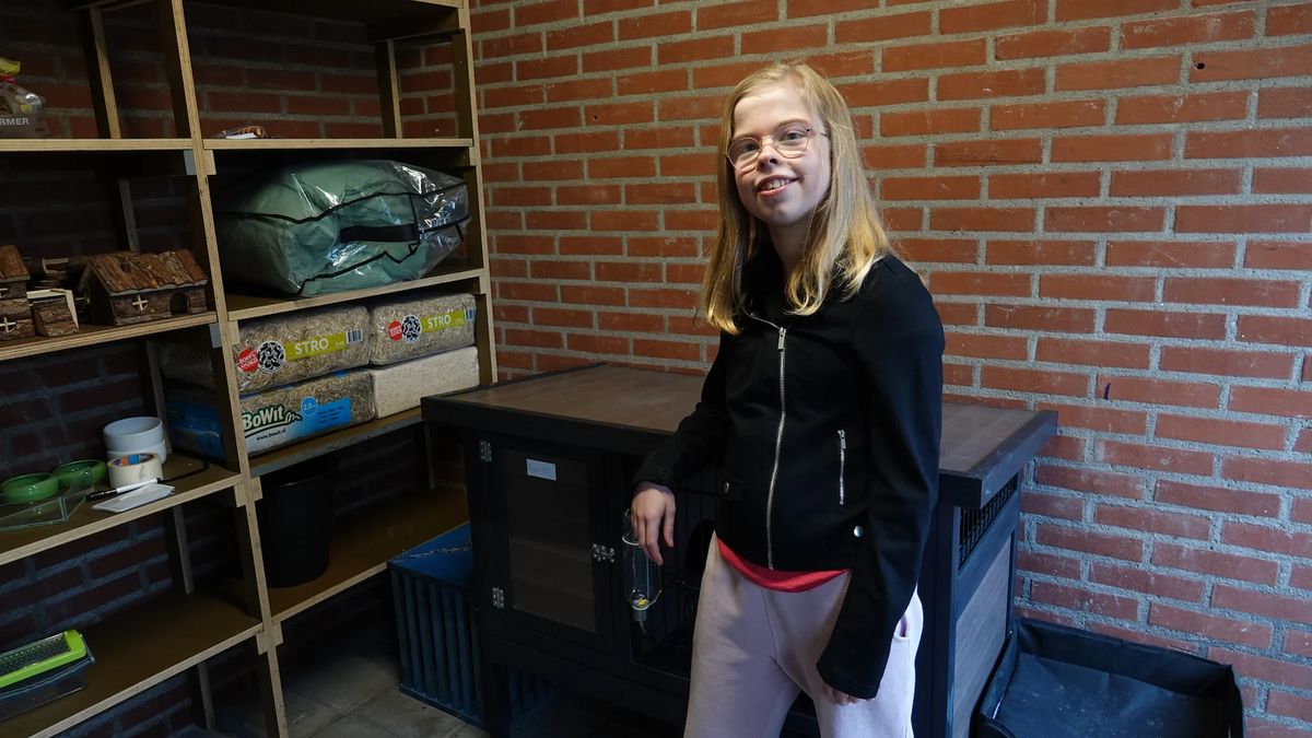 Rosalie (12) uit Nieuw Bergen begint knabbelhotel voor cavia's, konijnen, hamsters en muizen