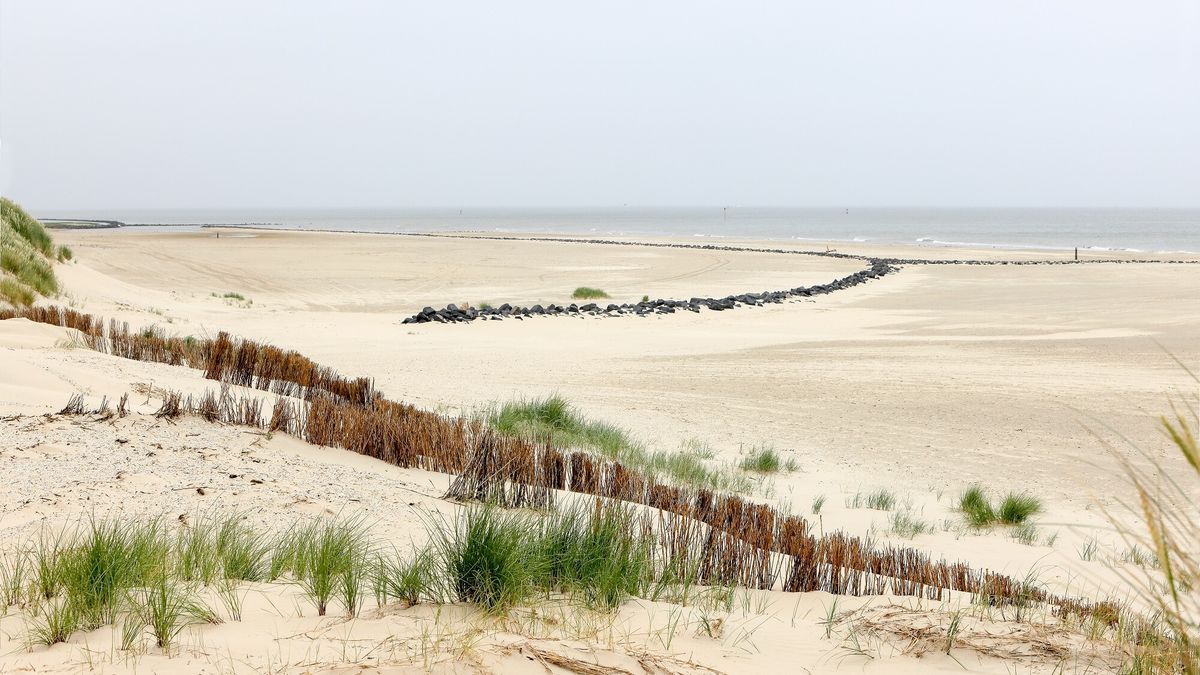 Vier jaar cel geëist voor twee zedendelicten met jonge meisjes op Ameland