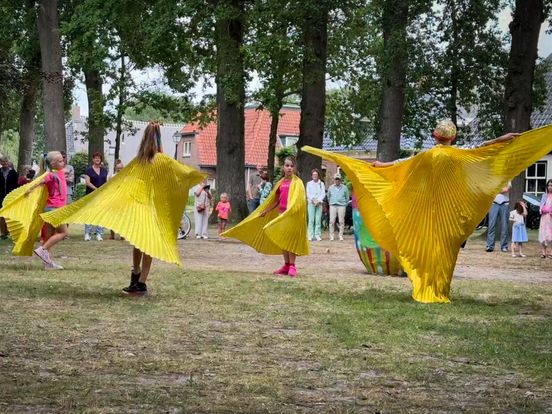Dwingeloo wordt de komende weken versierd met honderden vogels
