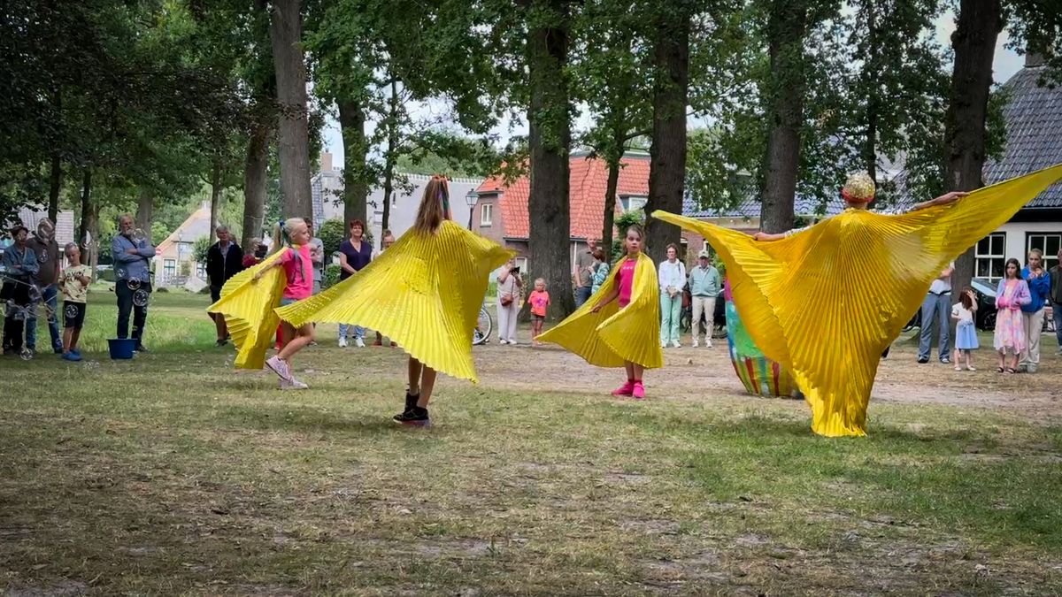 Dwingeloo wordt de komende weken versierd met honderden vogels