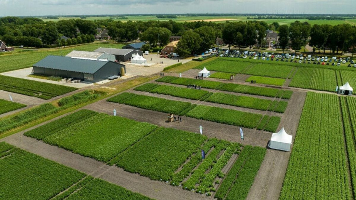 'De Veenkoloniën zijn perfect voor nieuwe vormen van akkerbouw'