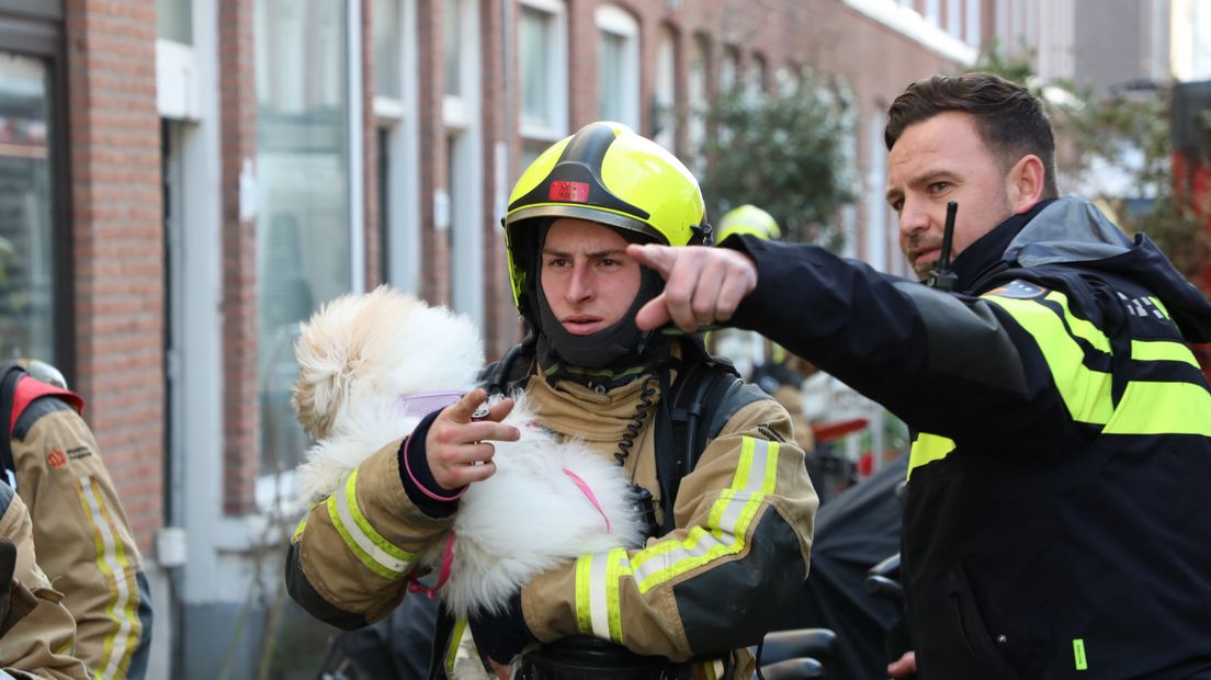 Bij een brand in het Zeelheldenkwartier werd een hond uit een woning gered