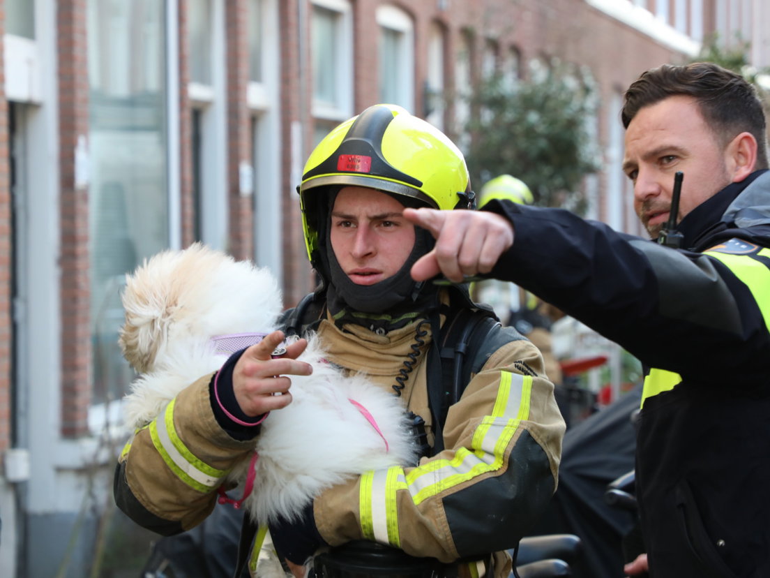Twee woningen onbewoonbaar door brand; hond gered