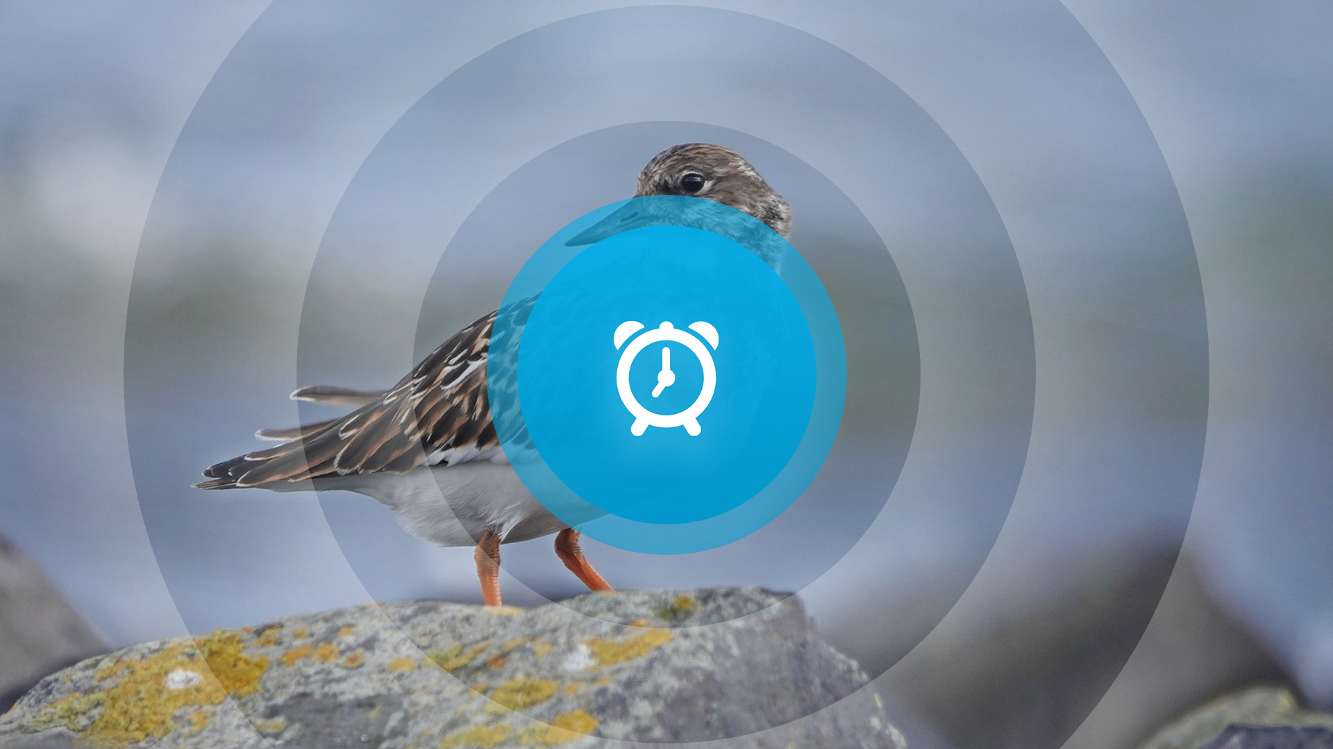 Goedemorgen! Eerste dag WK veldrijden, nieuwe kinderburgemeester en auto uit water