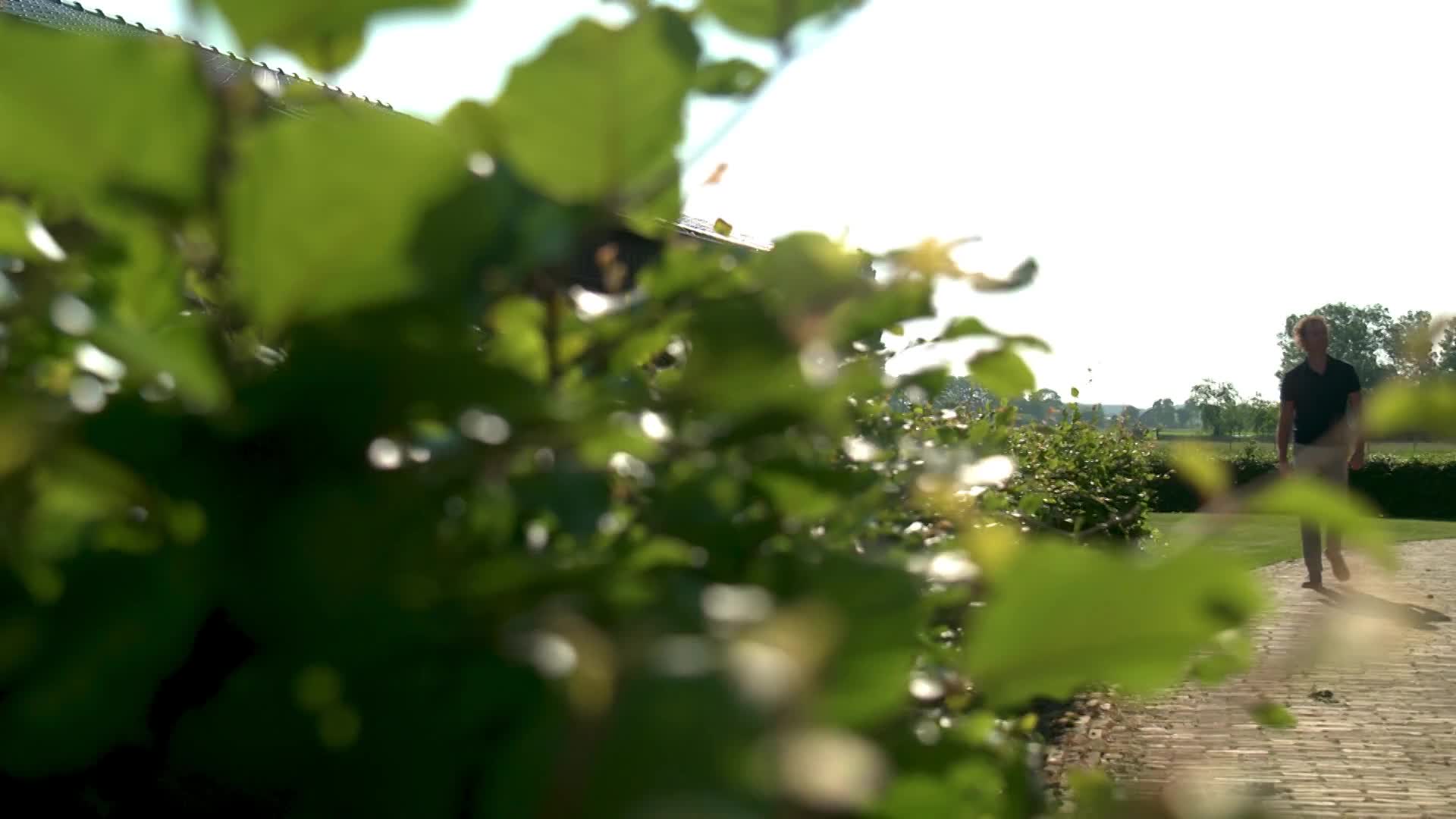 Dwars door Gelderland