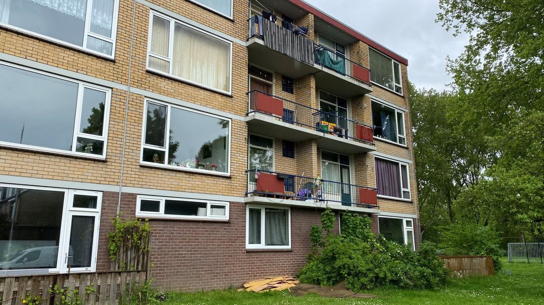 Vliegen op de lamellen. Daaronder de woning van Sylvia Hoskam.