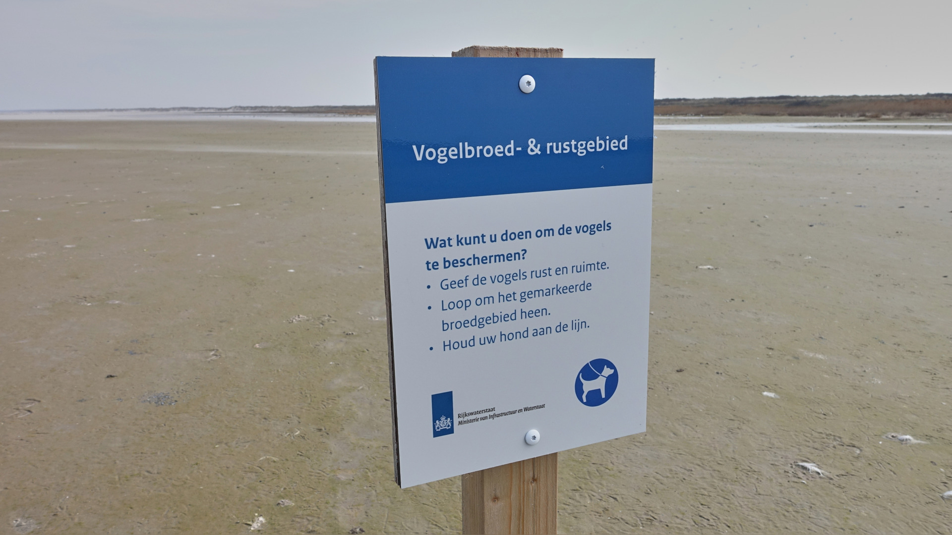 In warskôgingsboerd by nêsten