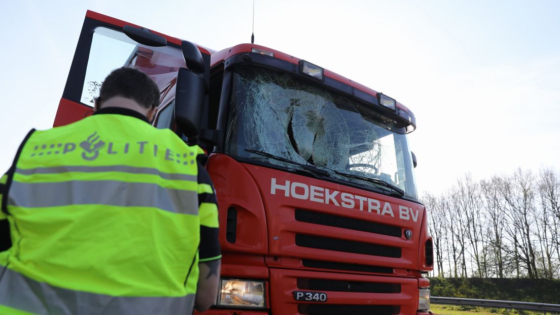 De zwaan maakte zo'n harde klap dat-ie in de truckerscabine eindigde.