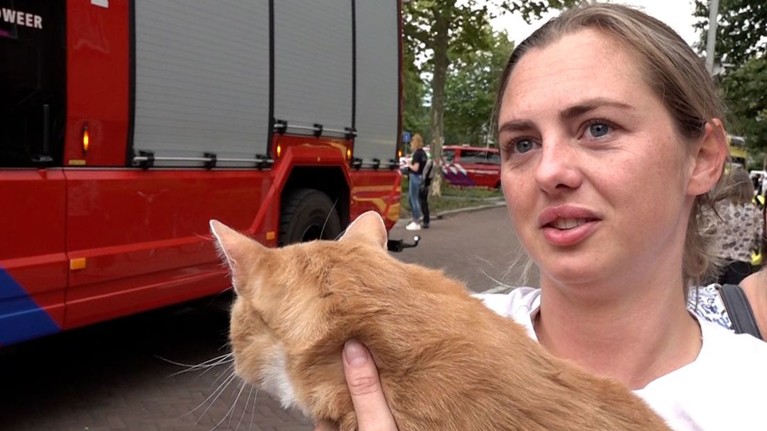 Nashara maakt zich zorgen om een van haar vier katten.