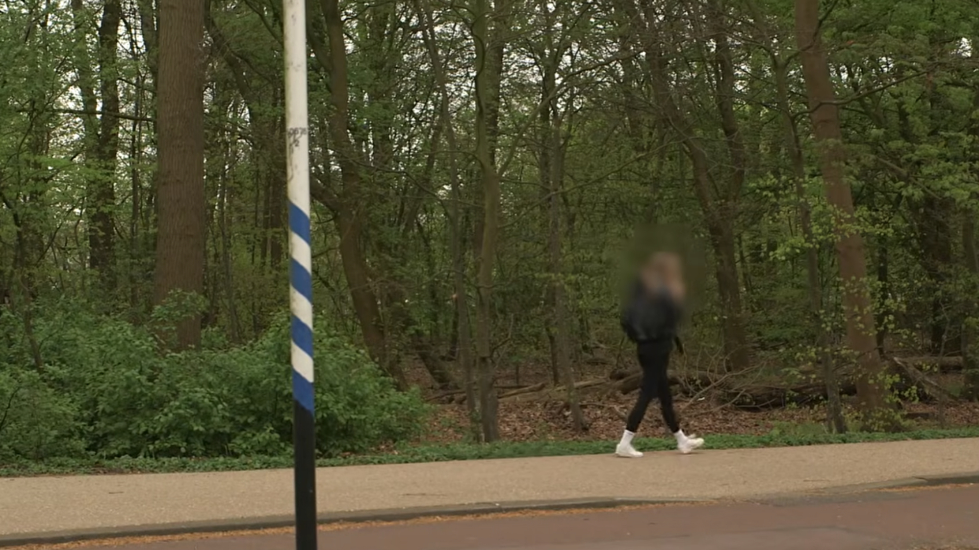 De serie-aanrander was het laatst actief in het Kralingse Bos.