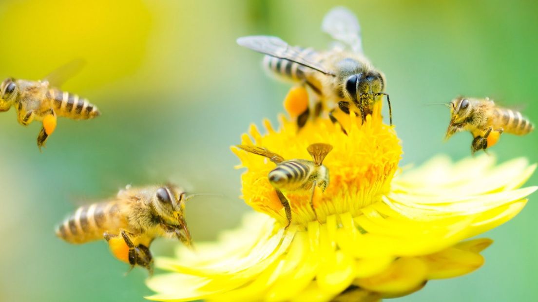 Coevorden Natuurbeleefdag