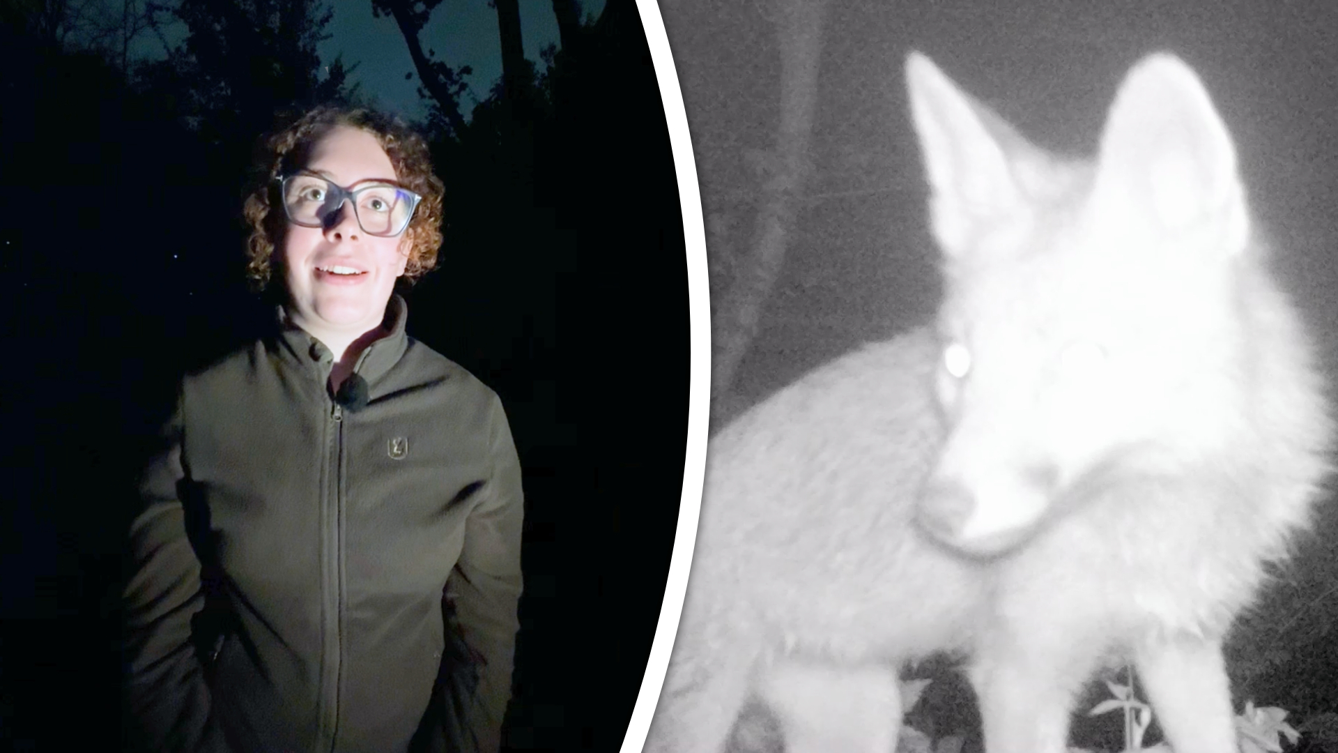 's Nachts gaat er in het Kralingse Bos een hele andere wereld open