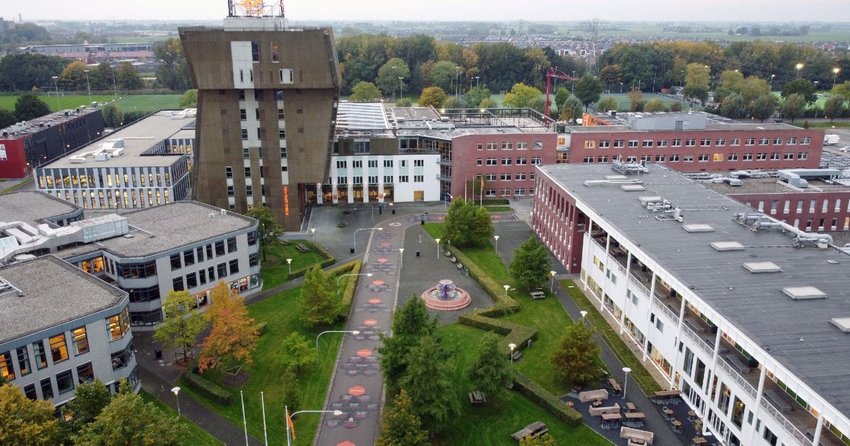 En de hoogst gewaardeerde studies van de Hanzehogeschool zijn...