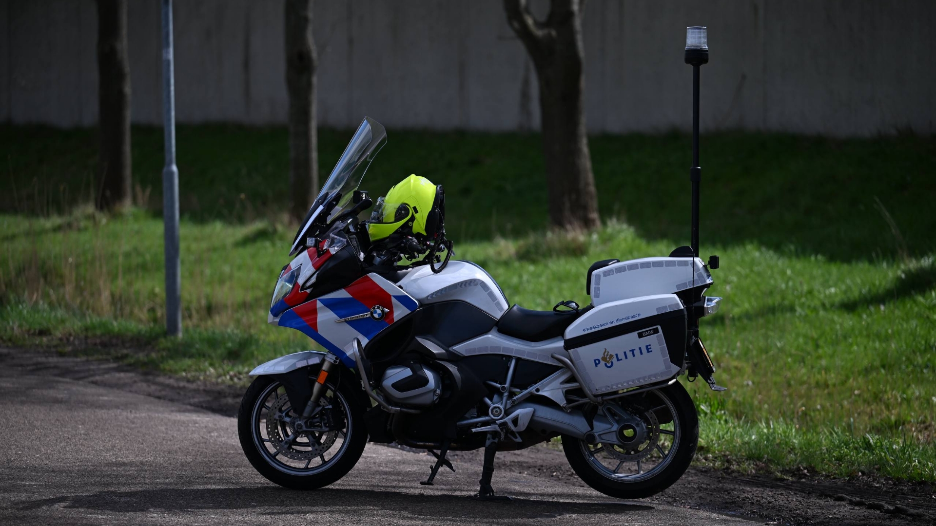 Motorrijder botst op ree, dier overleeft aanrijding niet.