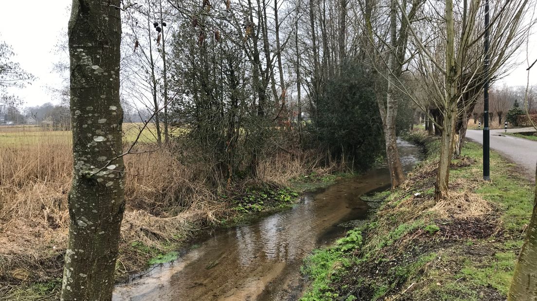 Tijdens de eerste warme lentezon komen de volwassen beekprikken tevoorschijn om te paaien. De beekprik is een zeldzame vissoort die tot voor kort ernstig werd bedreigd. Door het optimaliseren van de leefomgeving van het visje komt het steeds vaker voor in de Gelderse beken.