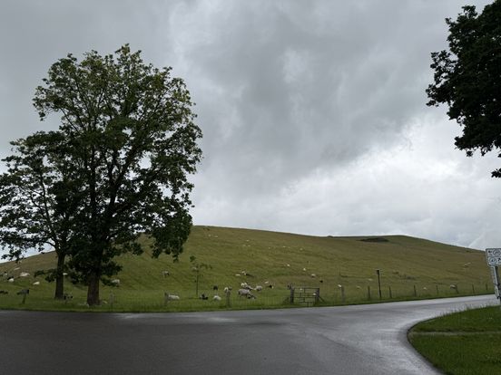 Wielrennen op de VAM-berg, het werd bedacht in een koeienstal in Zwiggelte