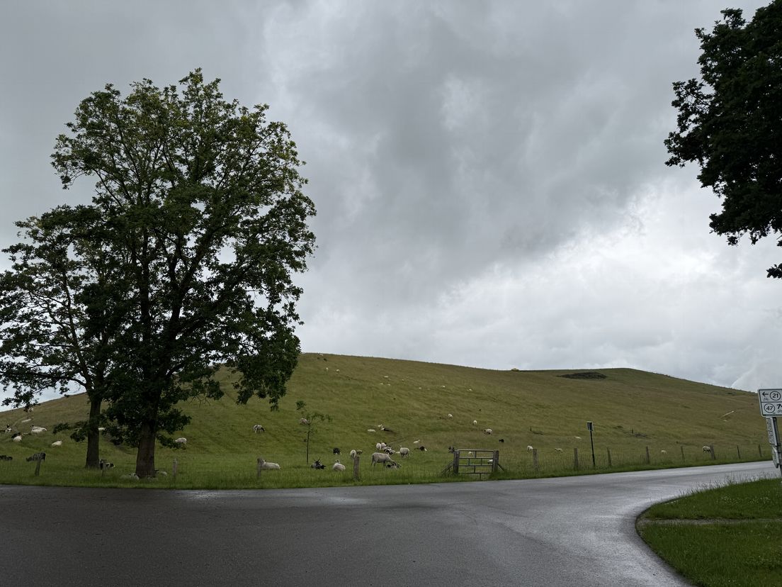 Van een idee tijdens het koeien melken tot de Col du VAM: zo kreeg Drenthe zijn fietsberg