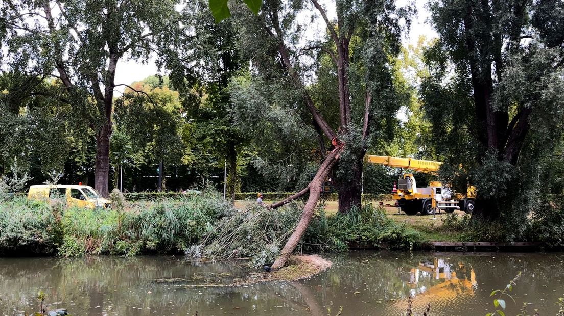 Spontane takbreuk komt steeds vaker voor