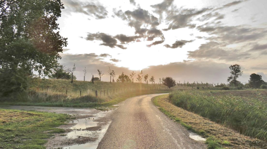 Dijkje bij 's-Heerenhoek in de ochtendgloren