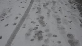 Ook na verkoop Mulder blijven play-offs doel FC Emmen: 'Het is nu aan de jongens'