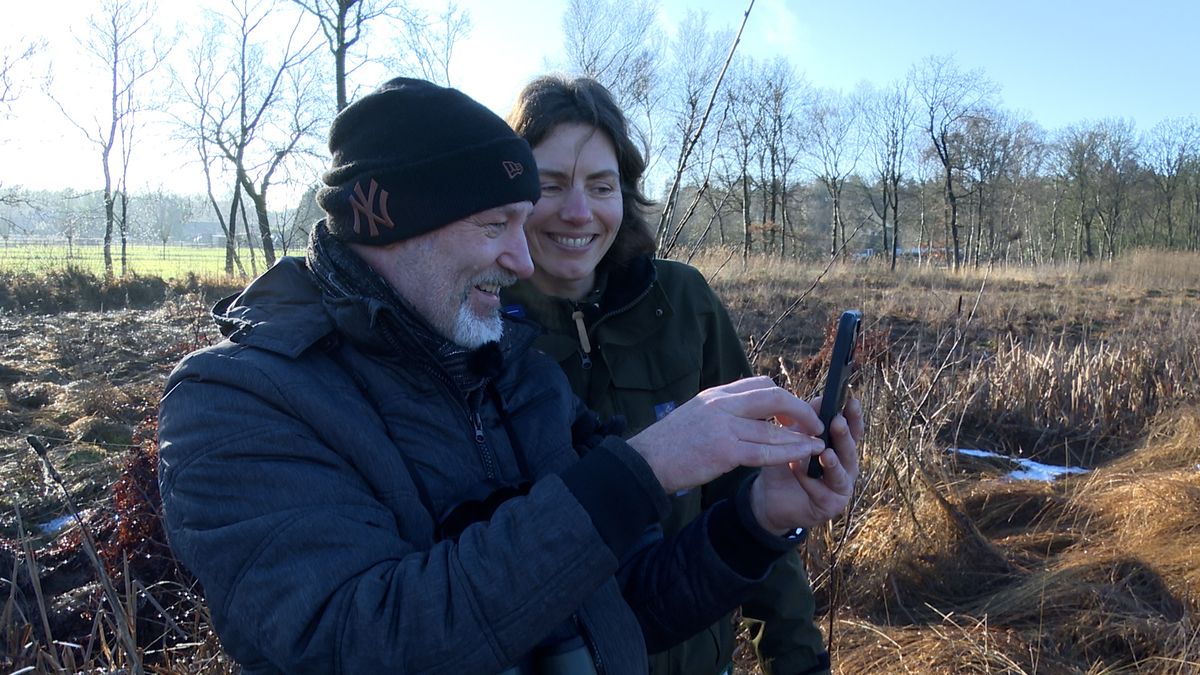 Eddy Zoëy over een uniek snippertje Utrechtse natuur: het hoogveen bij Soest