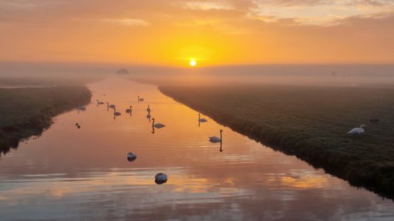 Voorjaar laat zich zien: vooral dinsdag en woensdag verlopen fraai Home