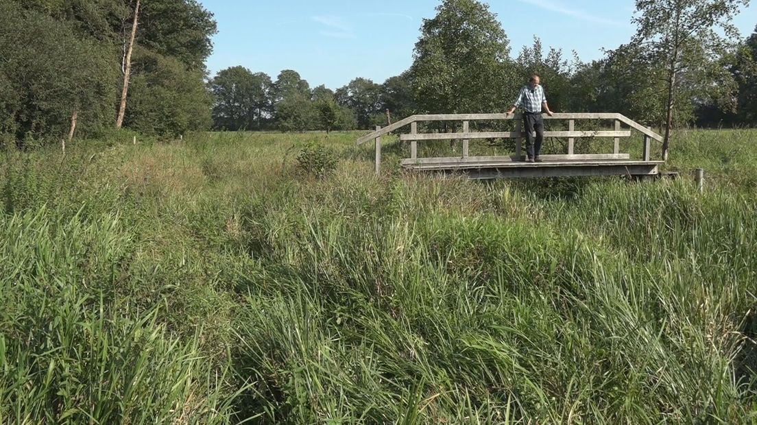 Droogte is een groot probleem voor het beekdal van de Geeserstroom