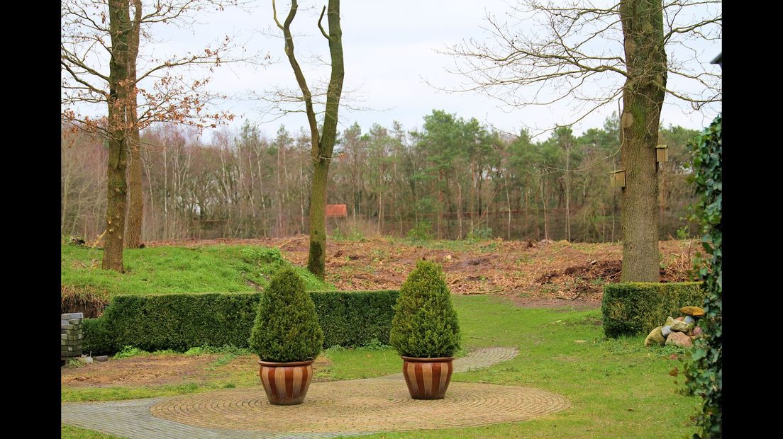 De kale vlakte op de plek waar ooit bomen stonden, leidt tot boze reacties bij omwonenden