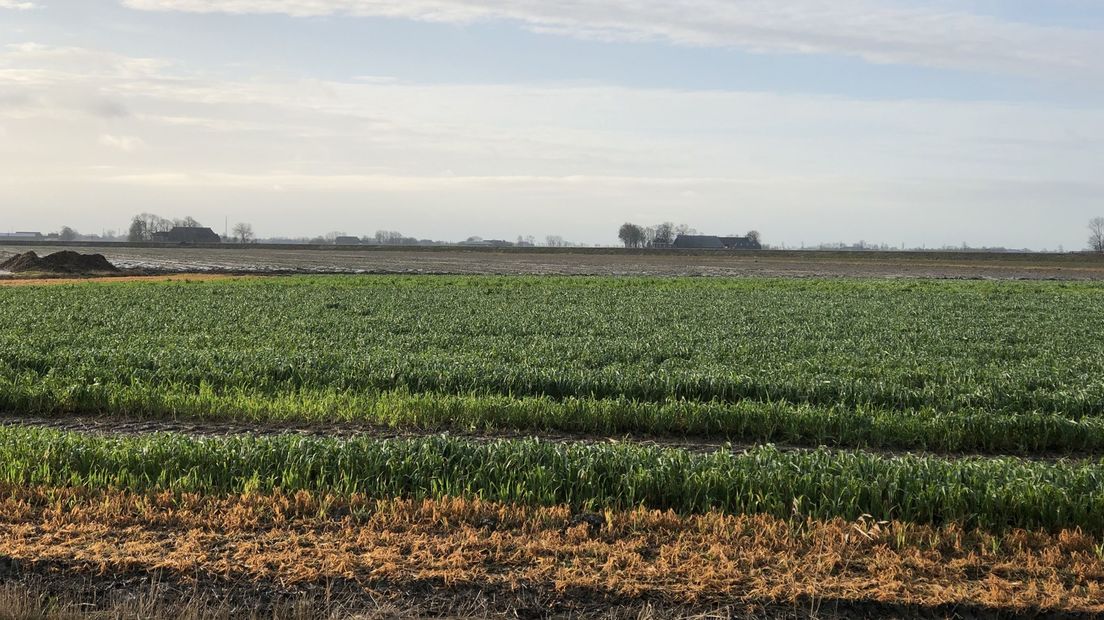 De provincie propageert duurzame akkerbouw