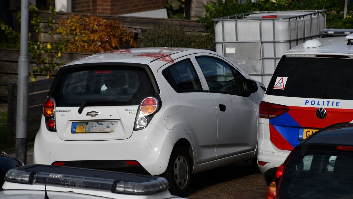 Hond bijt voorbijgangers in Middelburg, slachtoffer springt al bloedend op dak geparkeerde auto