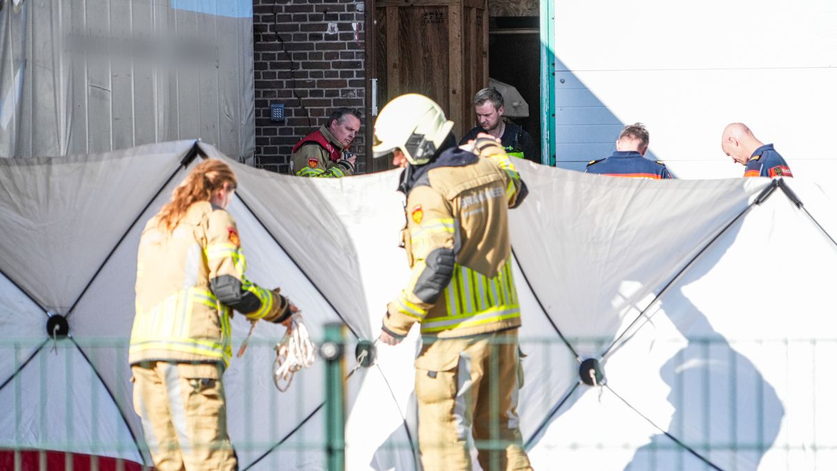 Hennepkwekerij opgerold in De Krim