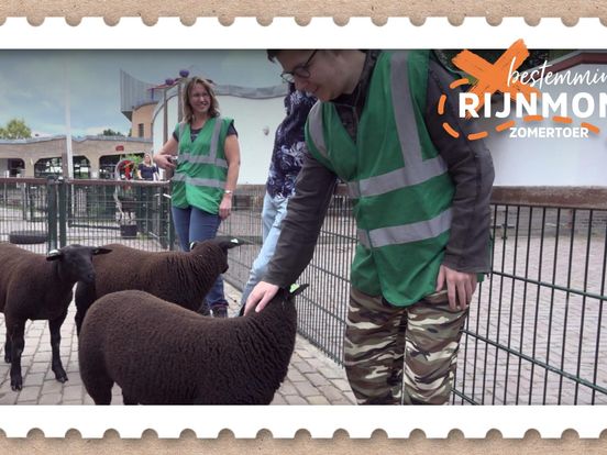 Jongeren blij met heropening Gorinchemse kinderboerderij: 'Dieren zijn je grootste vrienden'