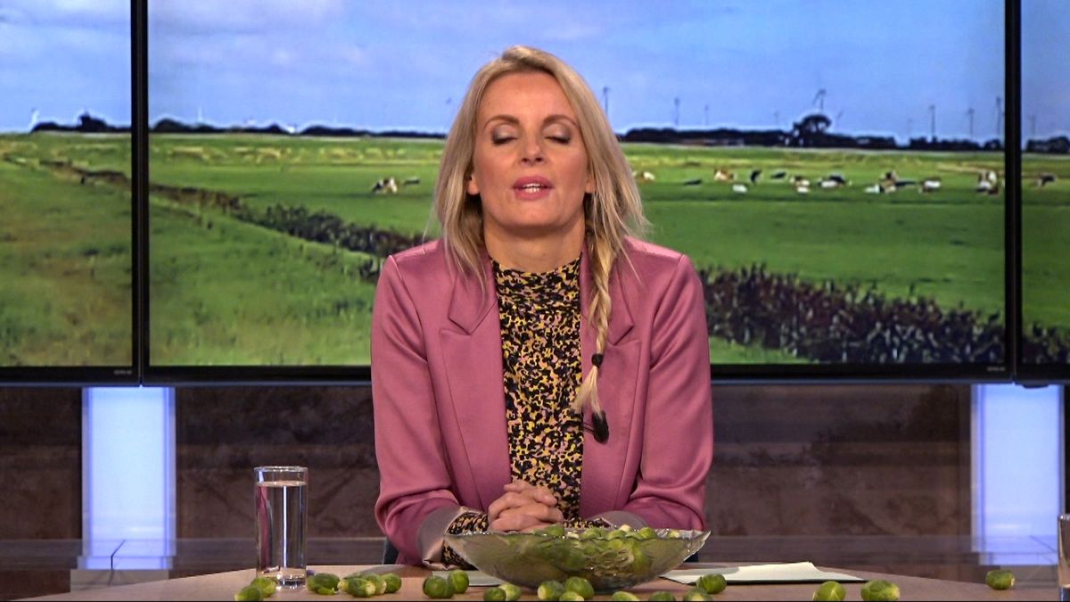 Plannen voor datacenter in Appingedam: 'Dit had niemand verwacht'